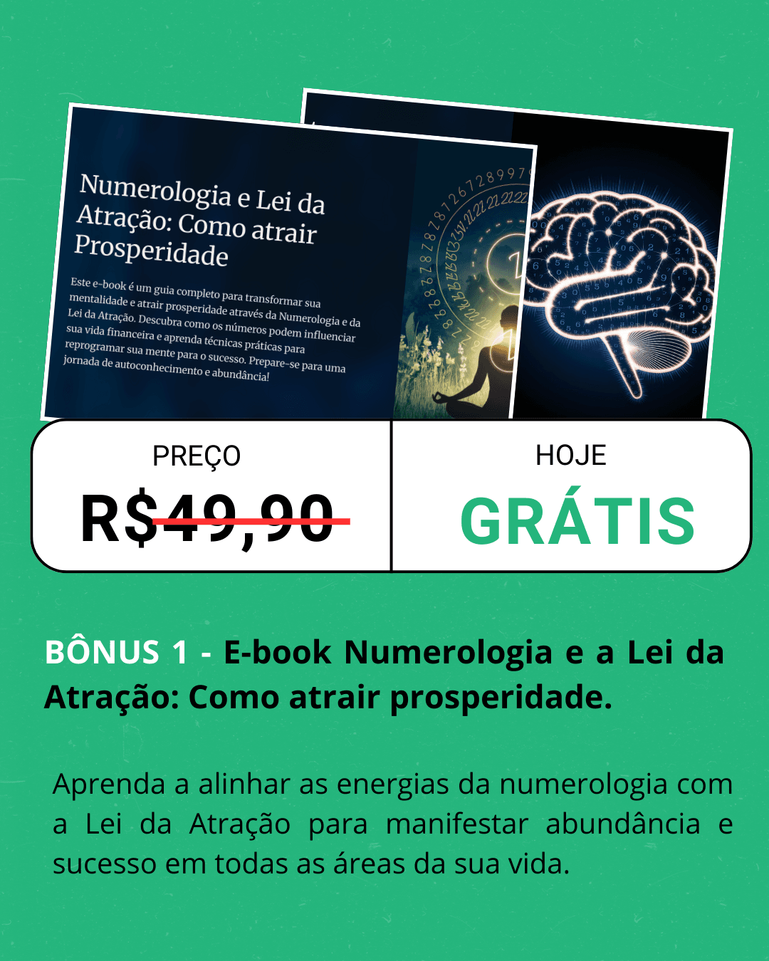 BONUS 1